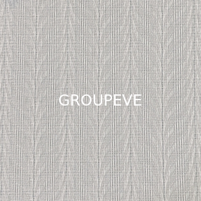 Tessuto trasparente 89mm/127mm 100% poliestere Jacquard Verticale Blind per la decorazione domestica
