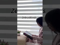 La zebra 100% del poliestere acceca il rotolo 50 M/Roll del tessuto per rotolo sulla tenda